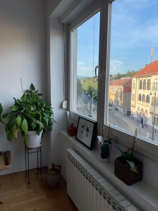 Spacious 3Br/2Bt Apartment With A/C In City Center Загреб Екстер'єр фото